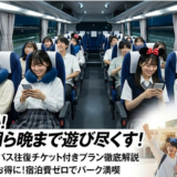 学生必見！ディズニー夜行バス学生往復チケット付きで格安に夢の国を満喫する方法